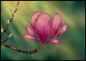 Mehr über den Artikel erfahren Fragmentierte Magnolie